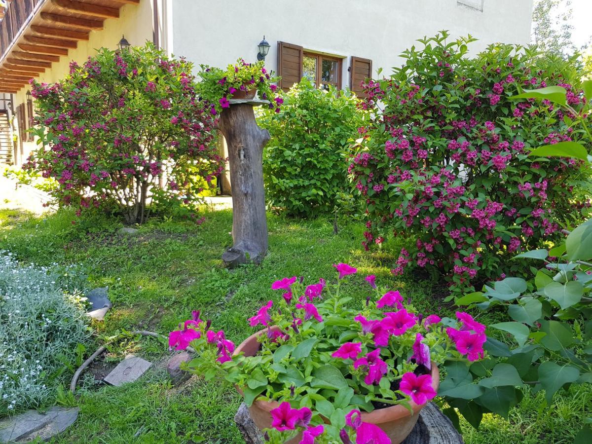 La Collina Dei Passeri Bed & Breakfast *