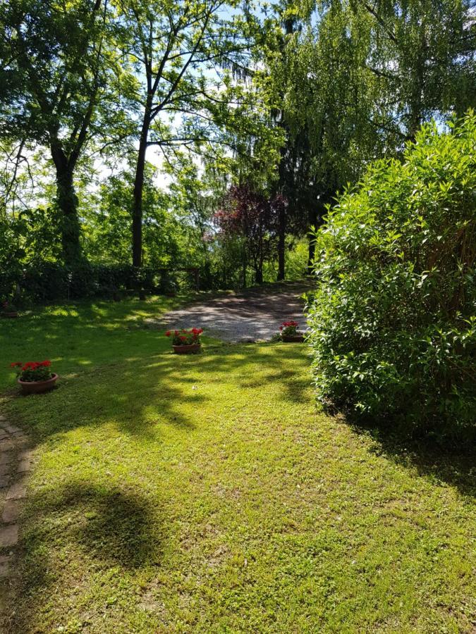 Bed & Breakfast La Collina Dei Passeri *