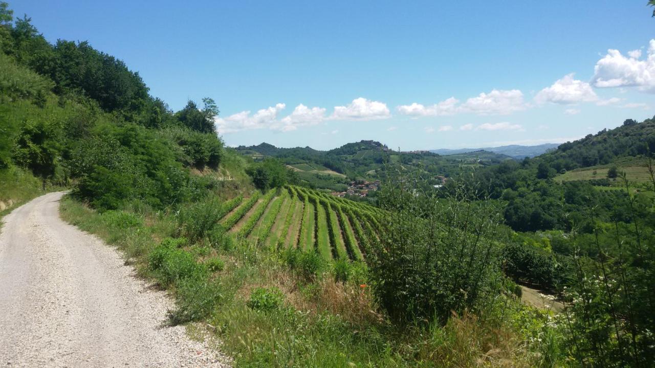 Bed & Breakfast La Collina Dei Passeri