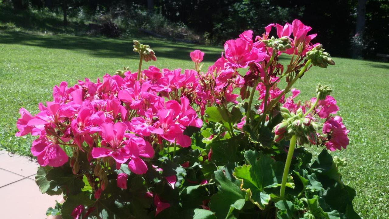 Bed & Breakfast La Collina Dei Passeri Pocapaglia