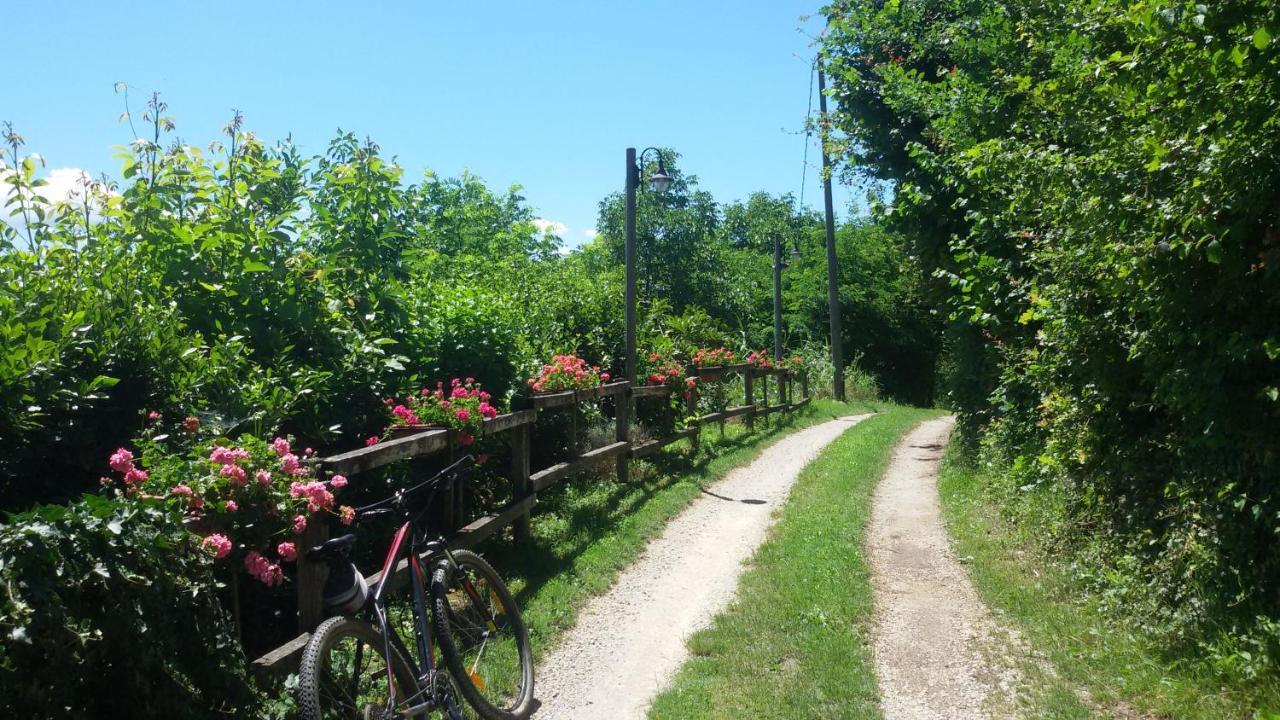 Bed & Breakfast La Collina Dei Passeri