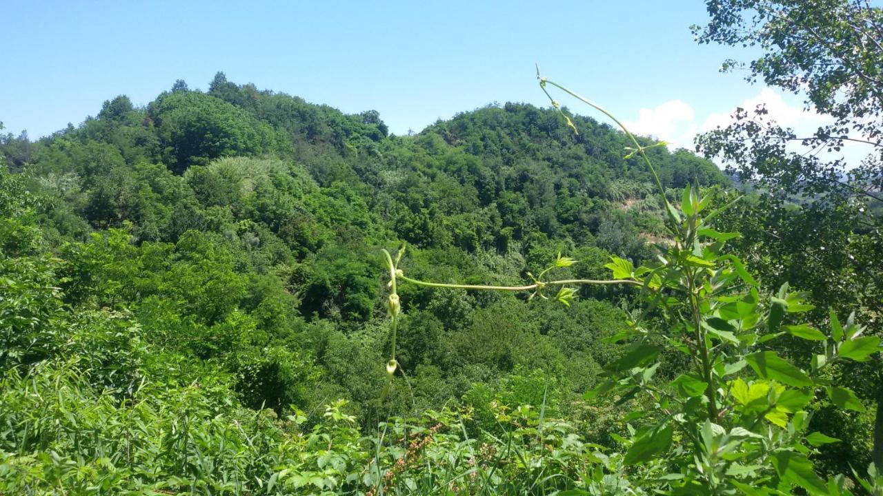 La Collina Dei Passeri Bed & Breakfast Pocapaglia