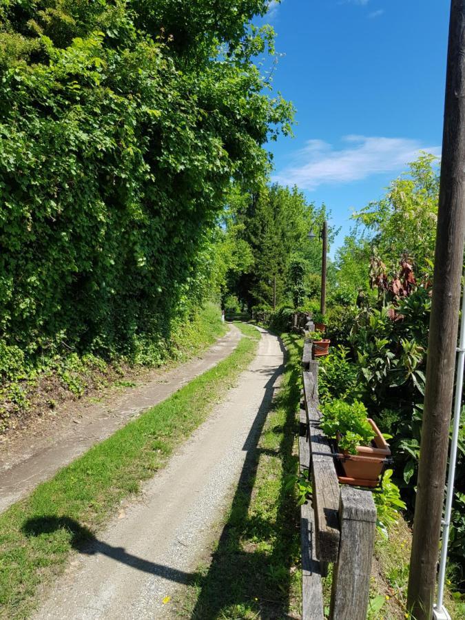 La Collina Dei Passeri Bed & Breakfast