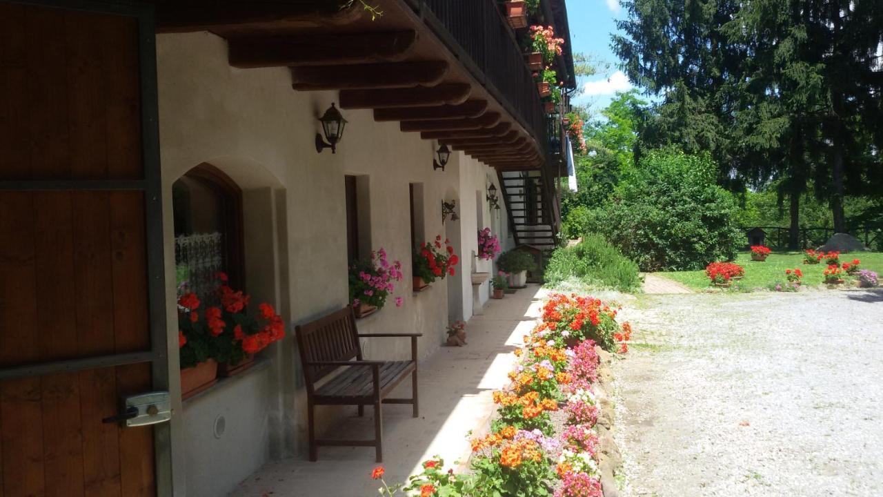 Bed & Breakfast La Collina Dei Passeri *