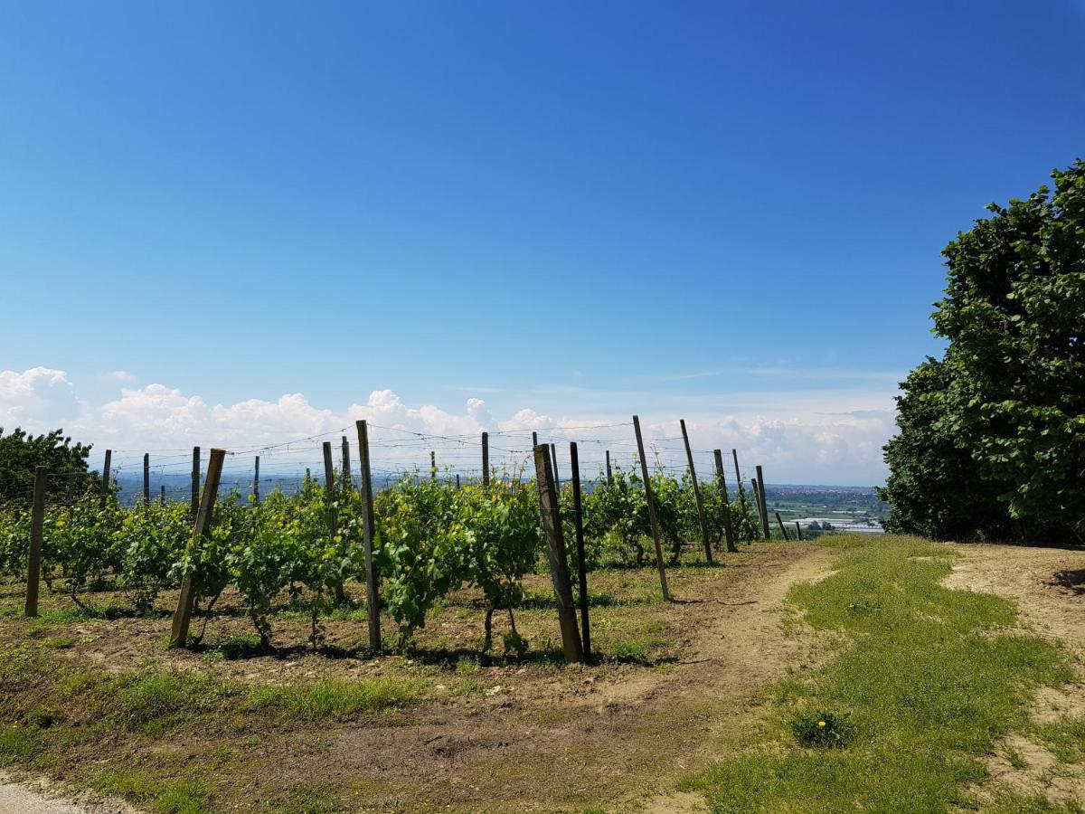 La Collina Dei Passeri *
