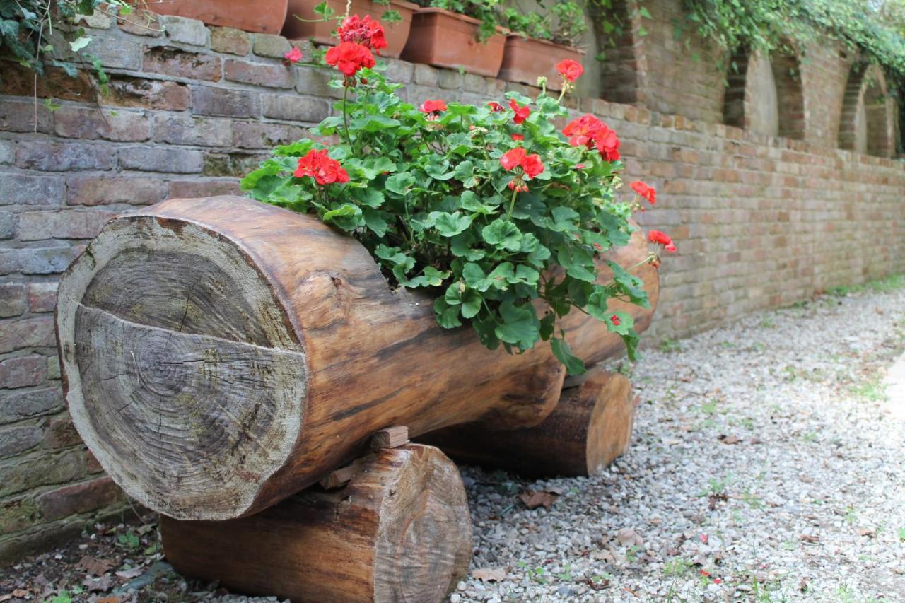 La Collina Dei Passeri Bed & Breakfast